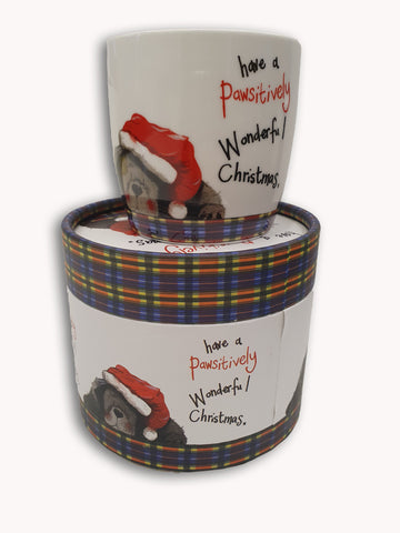Christmas Gift Boxed Mug